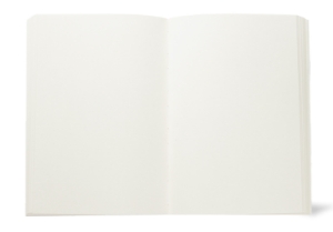 Nabucco Refillable Journal