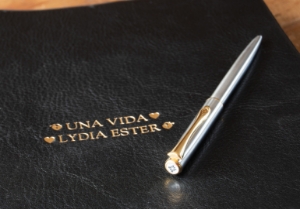 Diplomat Traveller Ballpoint Pen